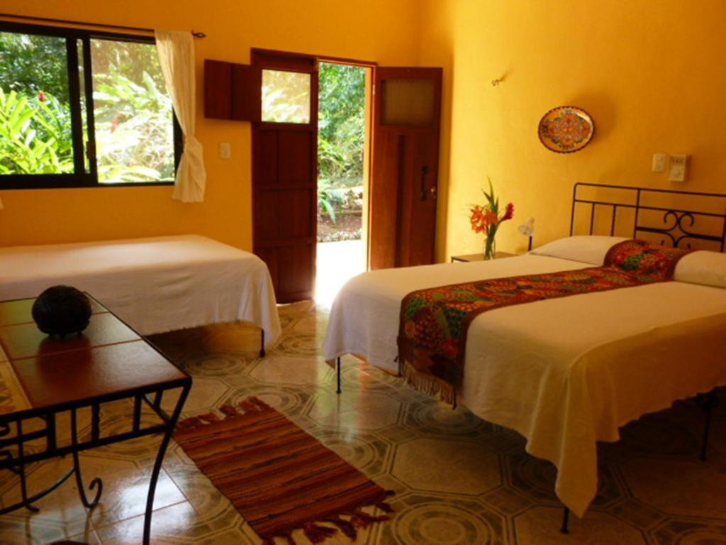 Santa Elena The Flycatcher Inn Retreat Hotel الغرفة الصورة