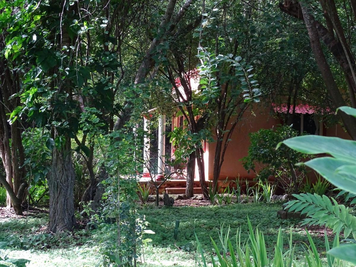 Santa Elena The Flycatcher Inn Retreat Hotel المظهر الخارجي الصورة