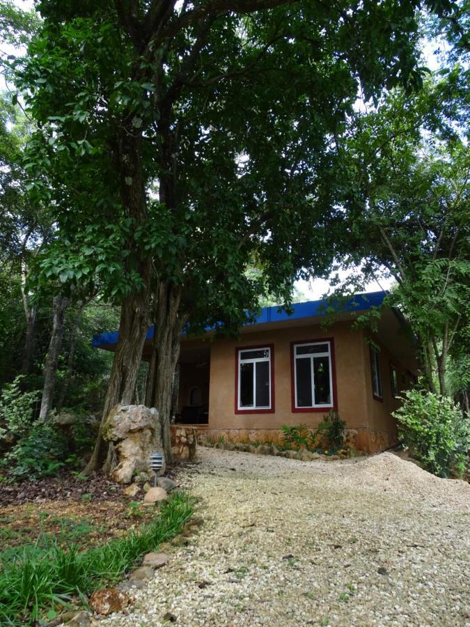 Santa Elena The Flycatcher Inn Retreat Hotel المظهر الخارجي الصورة