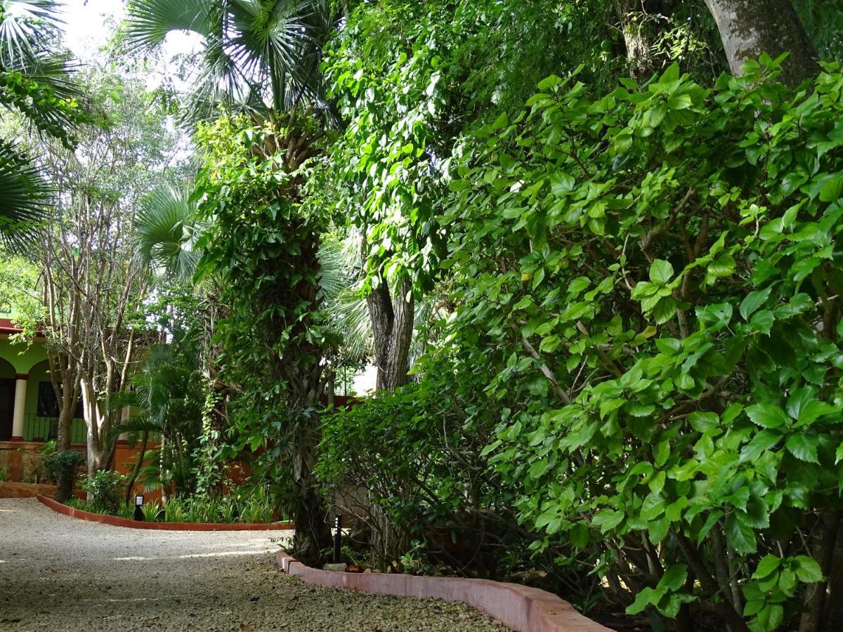 Santa Elena The Flycatcher Inn Retreat Hotel المظهر الخارجي الصورة